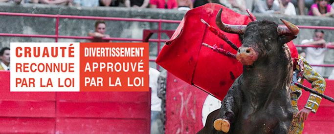 #DEMAINSANSCORRIDA : CRUAUTÉ RECONNUE PAR LA LOI, DIVERTISSEMENT APPROUVÉ !