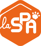 Calendrier 2024 la SPA - Boutique-la-spa.fr