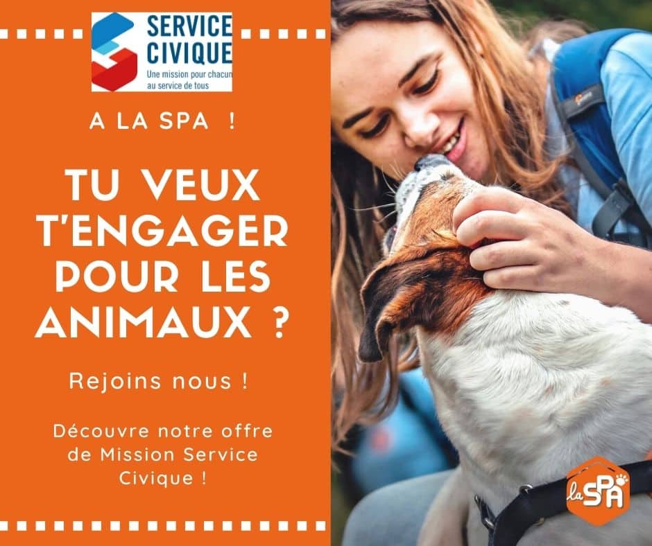 Recrute Service Civique pour Contribuer à l’amélioration des Relations Homme-Animal