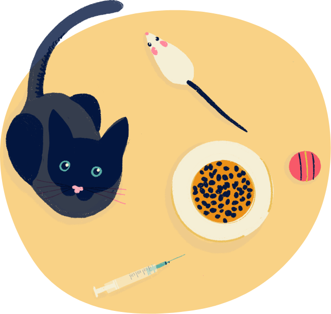 Un chat à l’année, combien ça coûte ?