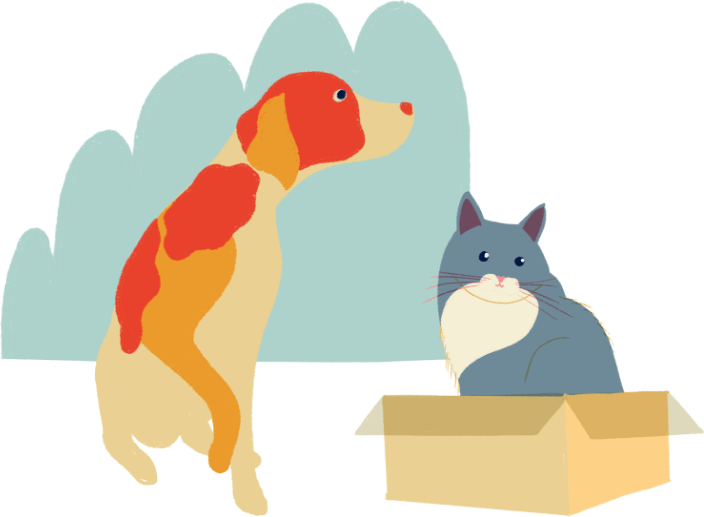 Les chiens sont plus abandonnés que les chats.