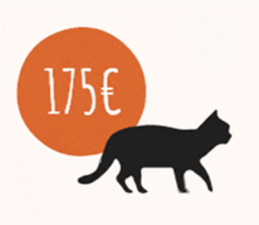 TARIF CHAT LA SPA