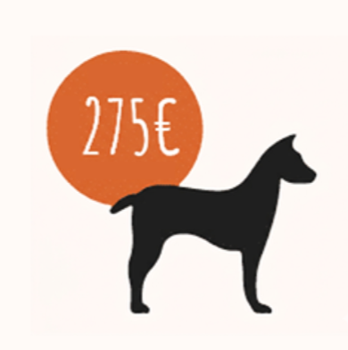 TARIF CHIEN LA SPA
