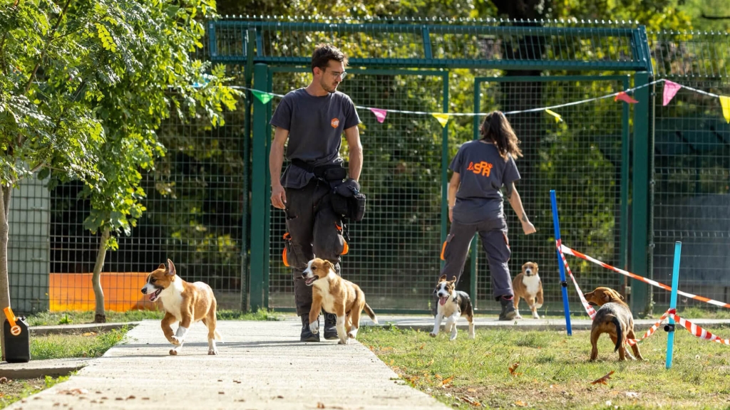 Photographie des agents animaliers du refuge de Golfech avec des chiots.