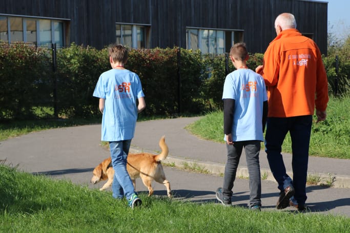 Une mission pour faire découvrir les animaux aux jeunes SPA