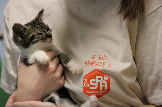 Une mission pour s’occuper des animaux vulnérables en attendant leur adoption