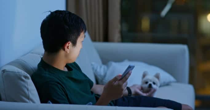 Donner par SMS à la SPA