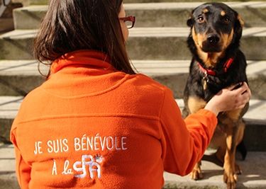 Les missions bénévoles de la SPA