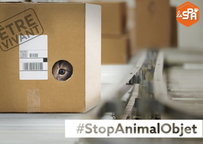 Le combat contre l’animal objet