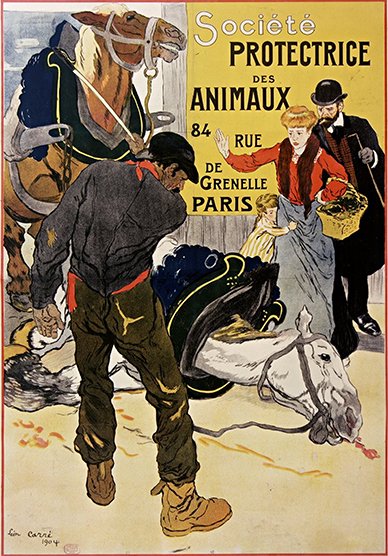 La création de la SPA