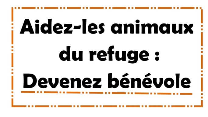 Nous avons besoin de bénévoles