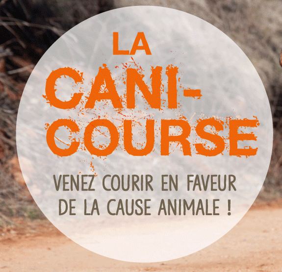 CANI COURSE 2025