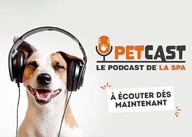 Petcast