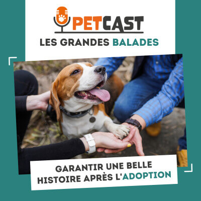 Visuel du Podcast : Comment garantir une belle histoire après l'adoption d'un animal