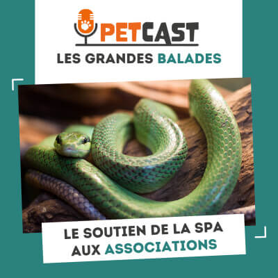 Visuel du Podcast : Le soutien de la SPA aux petites associations