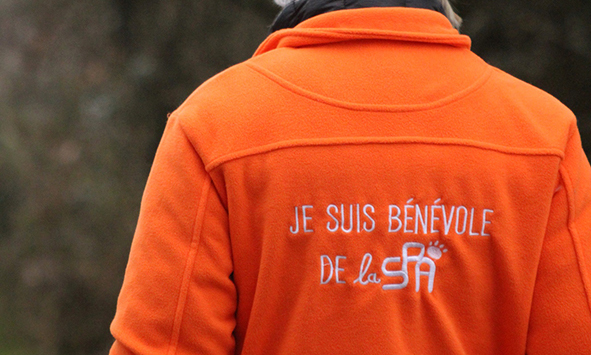 Devenir bénévole au refuge SPA des Sables d'Olonne