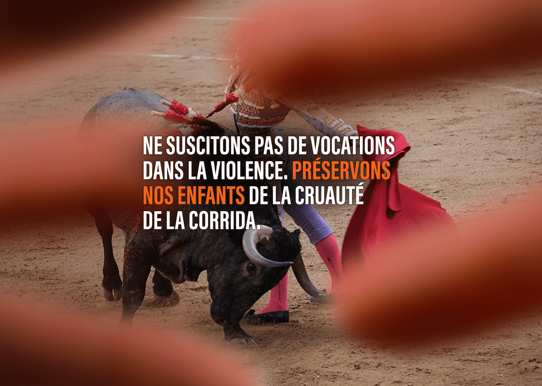 Visuel de l'opération de communication contre la corrida de la SPA en novembre 2024. On peut y lire "Ne suscitons pas de vocations dans la violence, préservons nos enfants de la cruauté de la corrida."