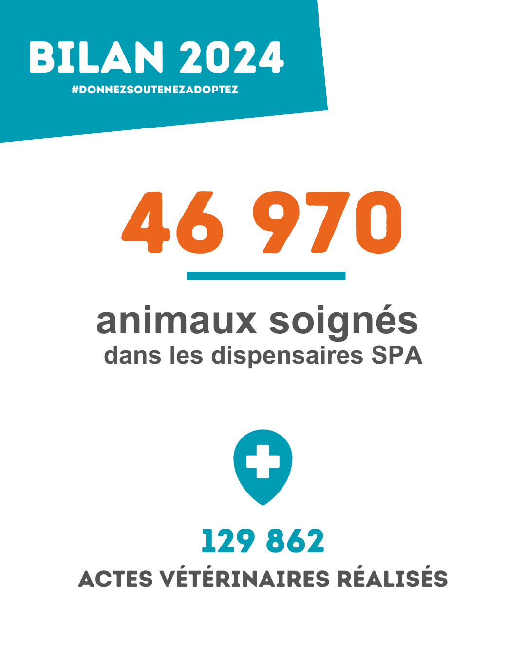 Une infographie qui indique les chiffres importants de la SPA en 2024. 46970 animaux ont été soignés dans les dispensaires de la SPA. 129862 actes vétérinaires ont été réalisés.