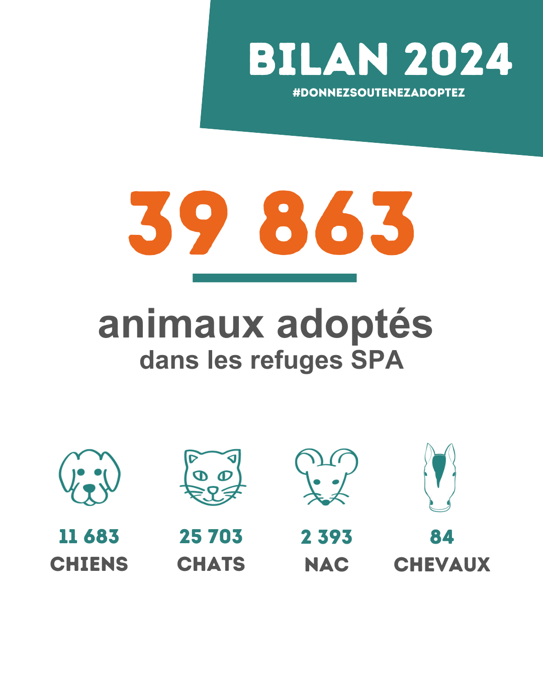 Une infographie qui indique les chiffres importants de la SPA en 2024. 39863 animaux adoptés dans les refuges. Dont 11683 chiens, 25703 chats, 2393 NAC et 84 chevaux.