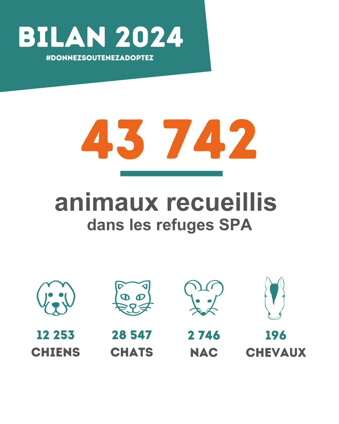 Une infographie qui indique les chiffres importants de la SPA en 2024. 43742 animaux recueillis dans les refuges. Dont 12253 chiens, 28547 chats, 2746 NAC et 196 chevaux.
