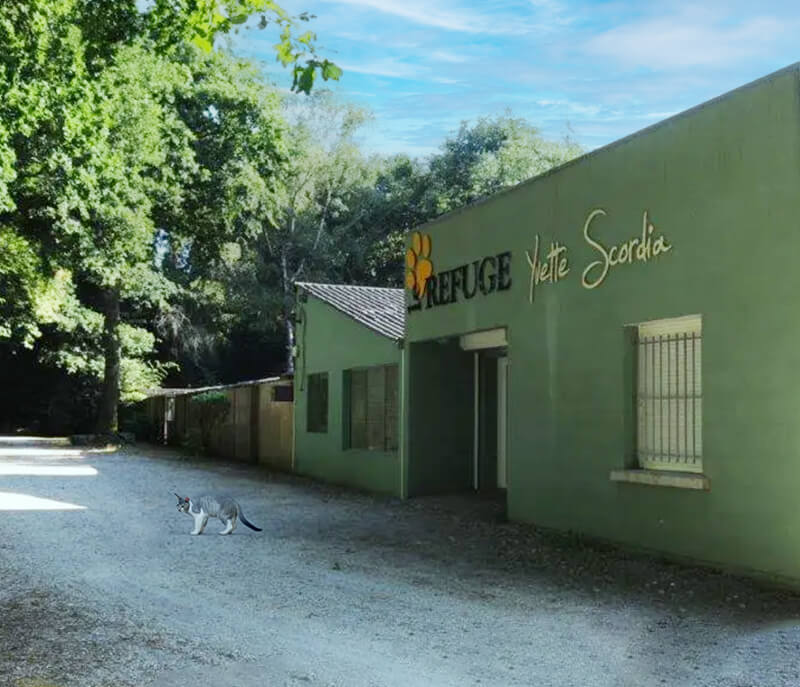 Photographie de la devanture du refuge SPA d'Inzinzac dans le département du Morbihan.