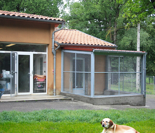 Photographie de l'extérieur du refuge SPA de Mirepoix ; on peut y voire 1 chiens beige allongé au premier plan.