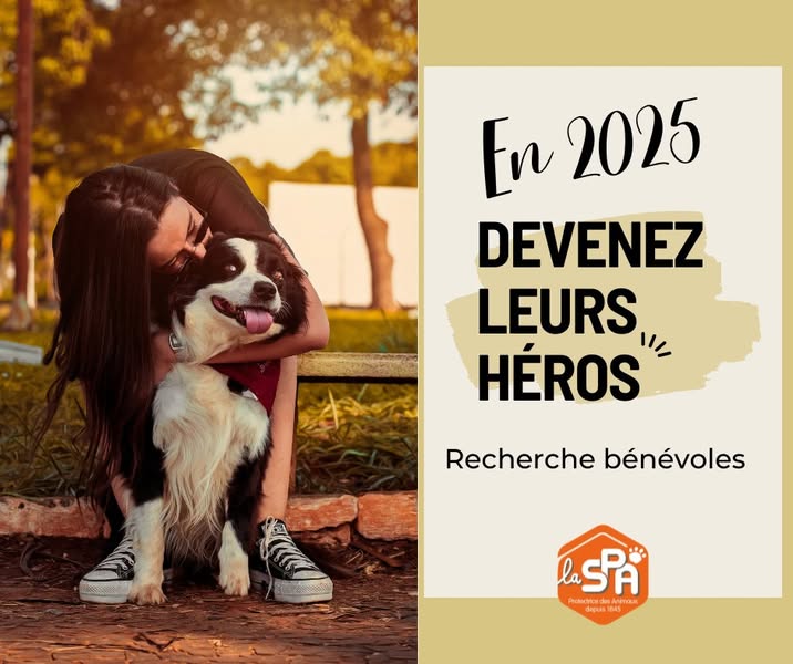 Bénévolat au refuge : comment vous impliquer en 2025 ?