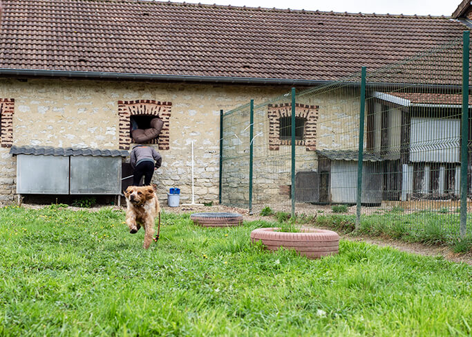 Projet 2 : Le refuge de Voillecomte