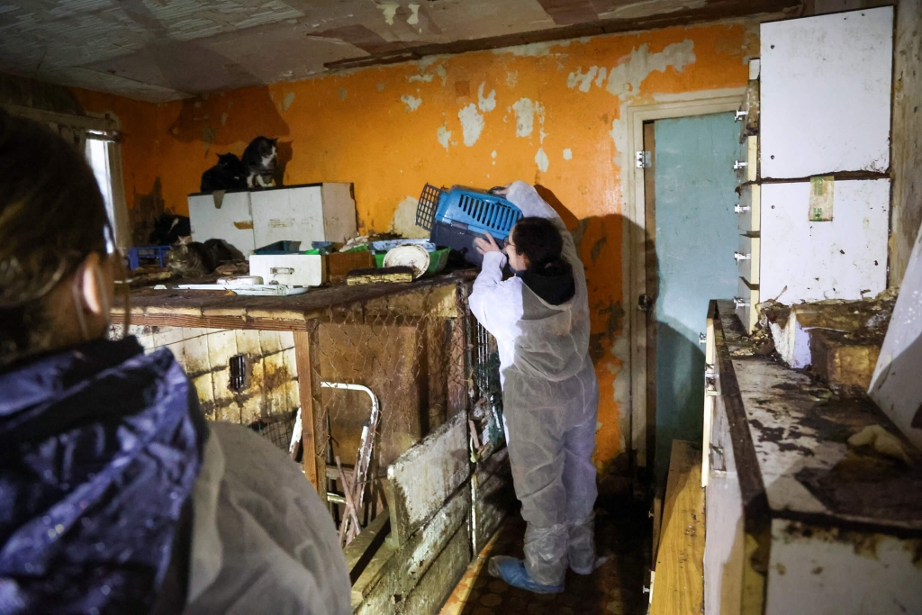 Un agent de la SPA qui récupère des chats dans une maison insalubre lors d'une saisie en 2025