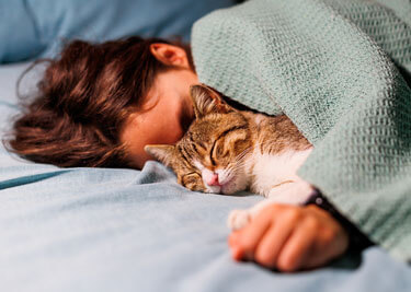 Dormir avec son chat : bienfaits, inconvénients et conseils