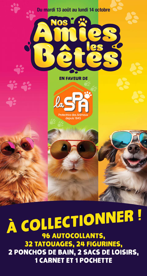 Affiche CRAZE et la spa