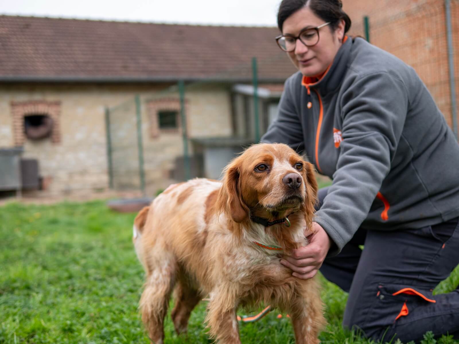 Une bénévole du refuge de Voillecomte qui s'occupe d'un chien brun clair en extérieur