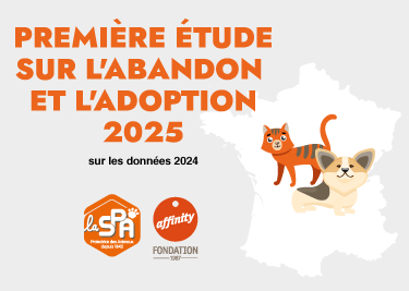 Les animaux abandonnés et ceux qui les recueillent. Étude de la SPA et de la Fondation Affinity, édition 2025