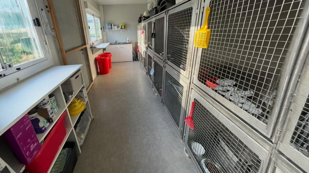 Photographie de l'espace chat du refuge SPA de Vannes en Bretagne.