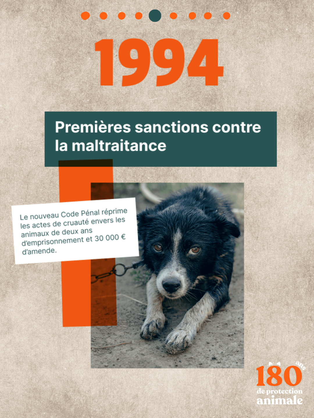 Un chien noir et blanc, visiblement un Border Collie ou similaire, est allongé sur un sol terreux. Il est attaché par une chaîne à un collier et regarde l'objectif avec une expression soumise. Le grand nombre orange "1994" est affiché en haut. Une bannière verte foncée indique : "Premières sanctions contre la maltraitance". Un encadré blanc précise : "Le nouveau Code Pénal réprime les actes de cruauté envers les animaux de deux ans d'emprisonnement et 30 000 € d'amende." L'image illustre une étape importante dans la protection animale en France.