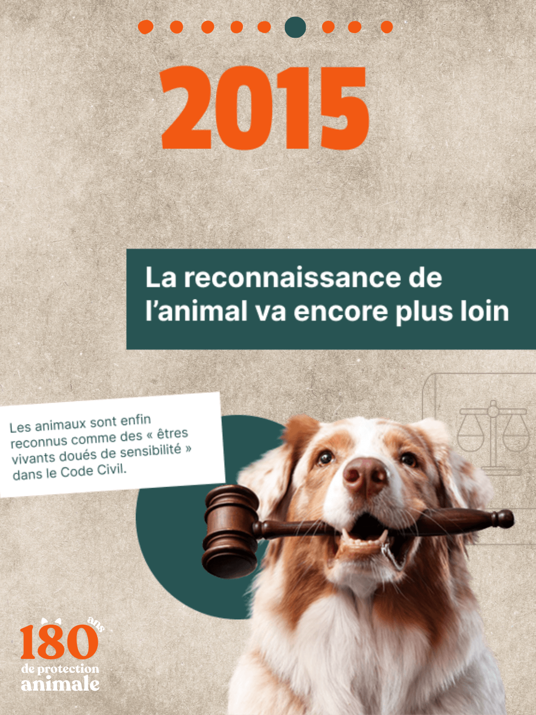 Un chien de race type Berger Australien, au pelage roux, blanc et marron, tient un maillet de juge en bois (gavel) dans sa gueule et regarde l'objectif. En haut, le grand nombre orange "2015" est affiché. L'image illustre une avancée légale, avec le titre : "La reconnaissance de l'animal va encore plus loin." Un encadré en bas à gauche précise : "Les animaux sont enfin reconnus comme des 'êtres vivants doués de sensibilité' dans le Code Civil." L'image symbolise l'importance juridique du bien-être animal.