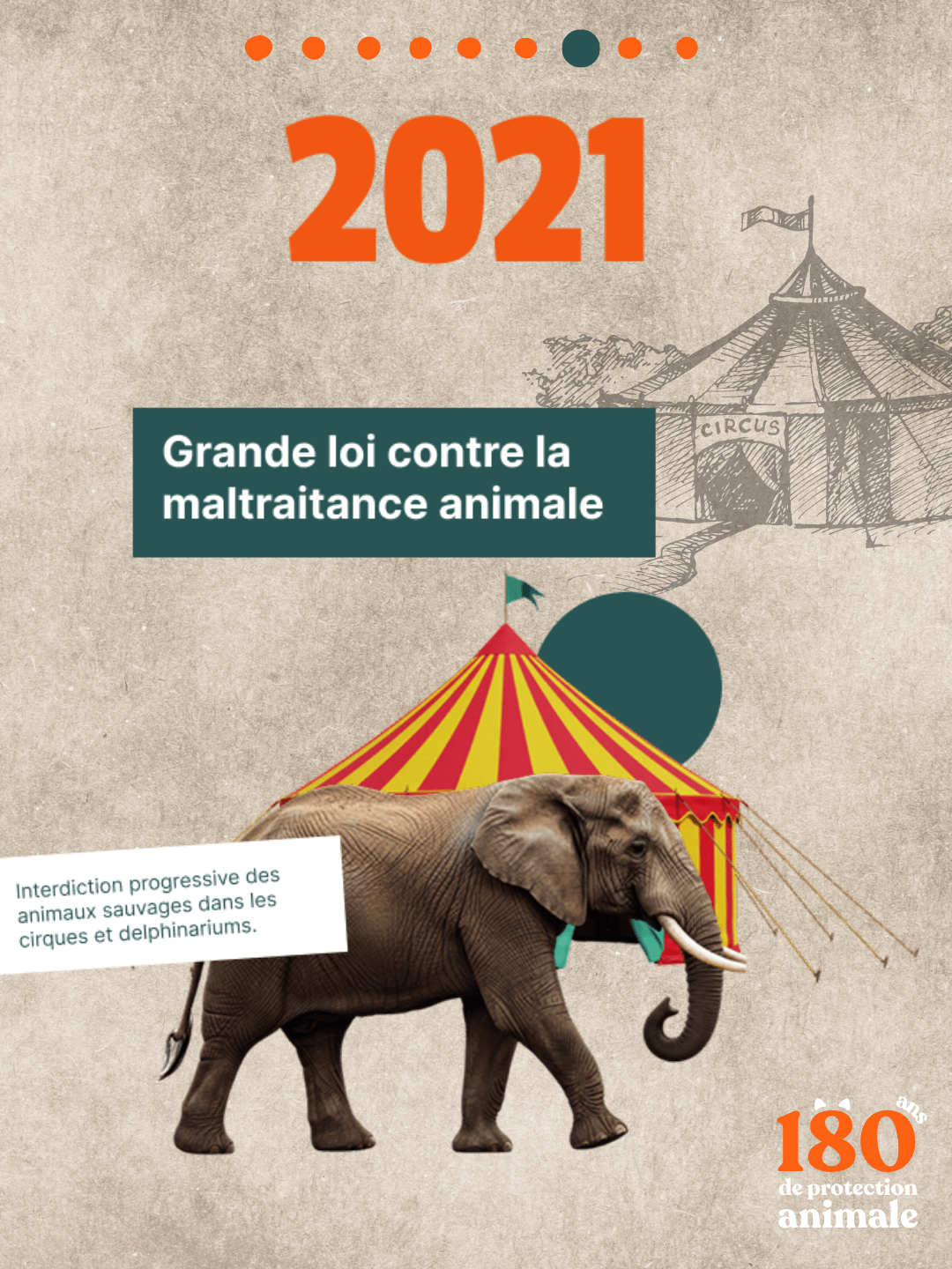 Affiche informative avec le grand nombre orange "2021" en haut. Au centre, une zone verte foncé annonce : "Grande loi contre la maltraitance animale". Sur la droite, une illustration d'un chapiteau de cirque esquissé en monochrome. En bas, une image d'un éléphant grandeur nature, au pelage gris et aux défenses blanches, marchant devant un petit chapiteau rouge et jaune. Un encadré blanc précise : "Interdiction progressive des animaux sauvages dans les cirques et delphinariums." Le ton est informatif et axé sur la protection animale et les avancées législatives.