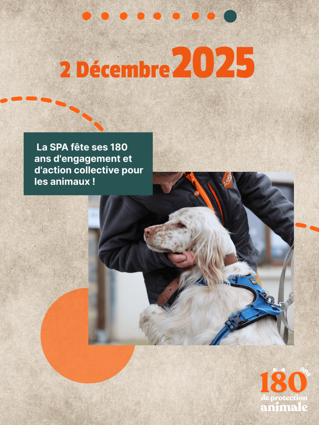Un chien de taille moyenne, au pelage blanc et roux tacheté, porte un harnais bleu foncé et un collier marron. Il est tenu par un homme vêtu d'une veste grise et d'un gilet zippé orange et noir, qui le caresse doucement. L'image est une illustration intégrée à une annonce célébrant les 180 ans d'engagement et d'action collective pour les animaux de la SPA, datée du 2 décembre 2025. Le ton est positif et axé sur la protection animale.