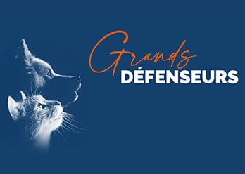 Je deviens grand défenseur