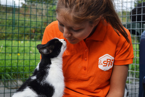 Agent de la SPA en interaction avec un chat