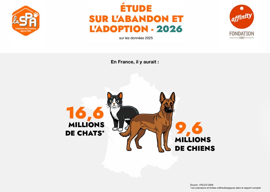 Abandons d'animaux : deuxième édition de l'étude nationale