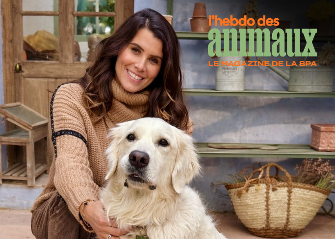 Karine Ferry avec un chien pour l'Hebdo des animaux, le magazine de la SPA