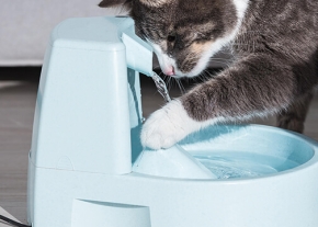 Photographie d'un chat gris et blanc en train d'utiliser une fontaine à eau pour boire.