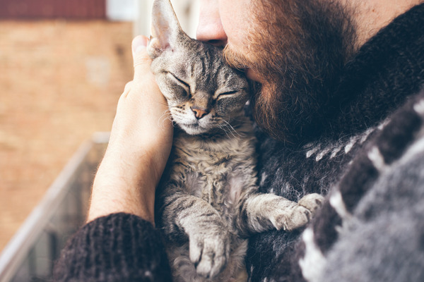 Un homme barbu tient un chat gris dans ses bras et l’embrasse sur la tête.