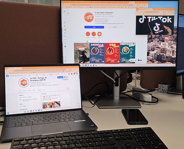 Ordinateurs, smartphone et réseaux sociaux pour gérer la communauté en ligne de la SPA.