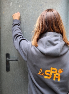 un délègue enquêteur de la spa qui frappe a une porte