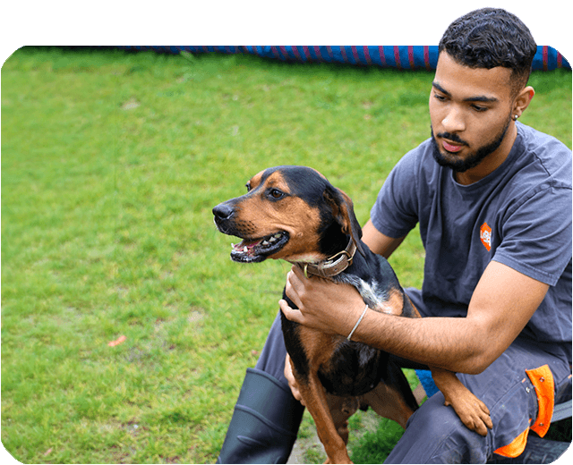 Un salarié de la SPA qui s'occupe d'un chien, assis dans l'herbe.