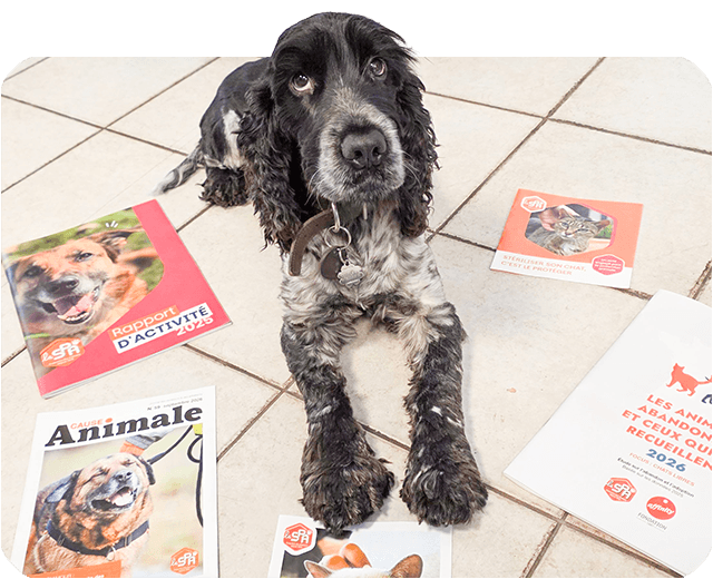 Les publications de la SPA