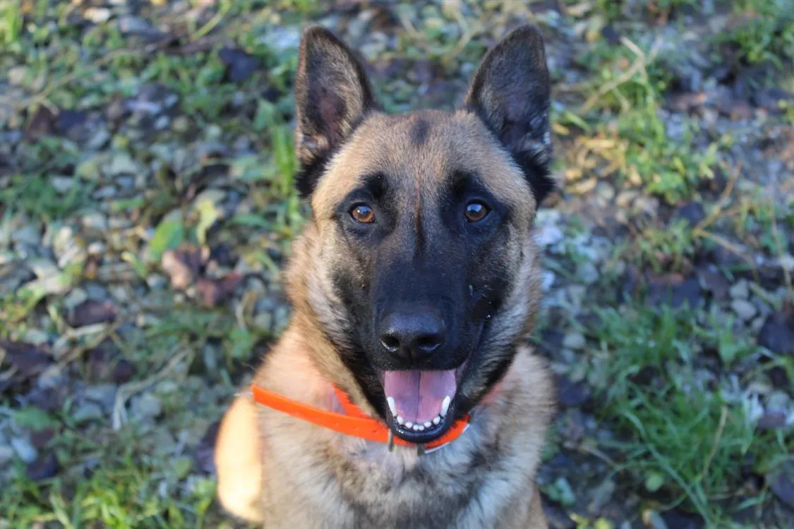 À l'adoption : Unix