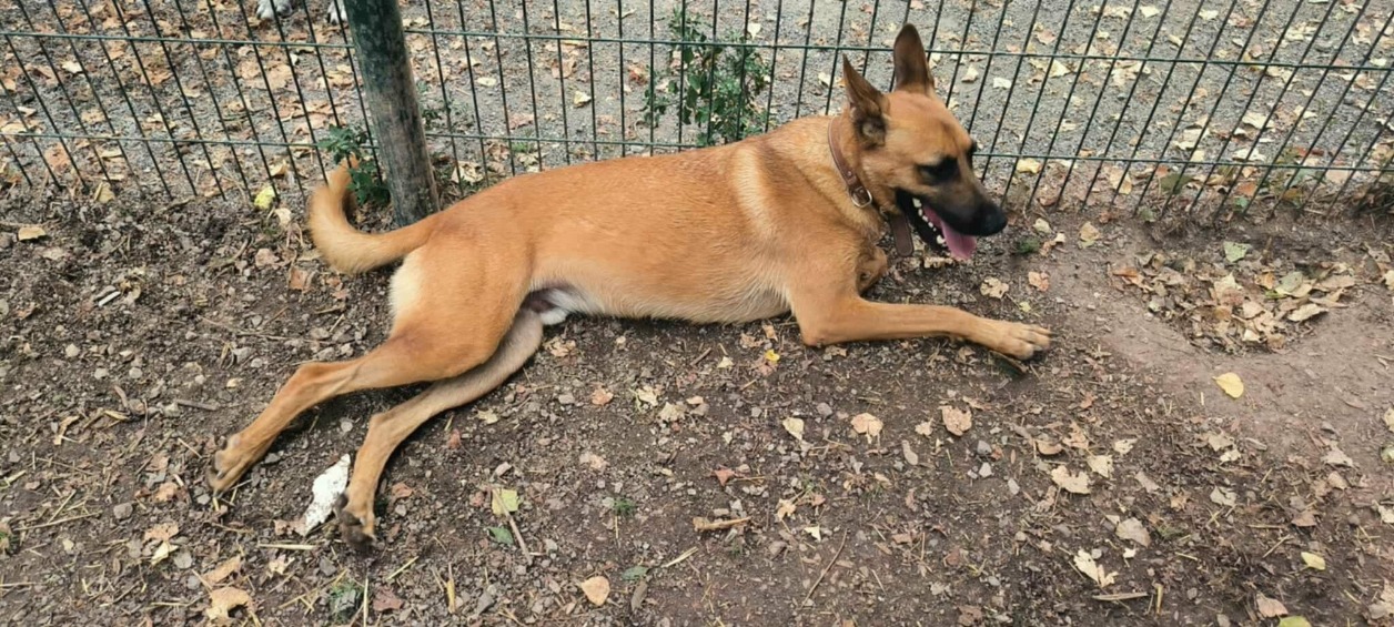 Théos